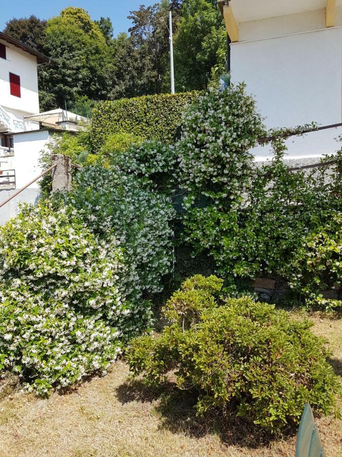 La Palma Villa Miazzina Bagian luar foto