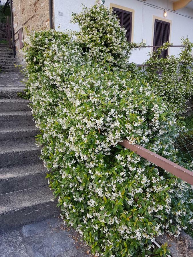 La Palma Villa Miazzina Bagian luar foto